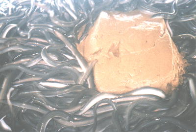 ���Ȃ��̐H�����i