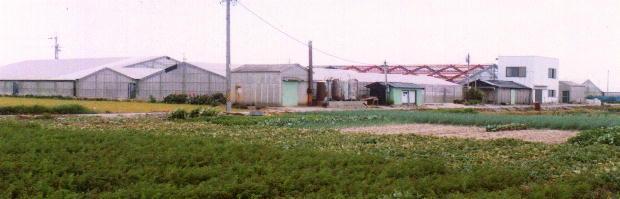 �^�i�J�{�V��@�S�i