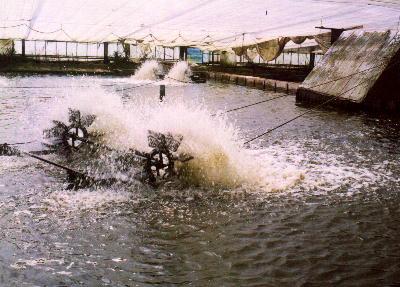 �n�E�X�����̗{���r